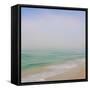 Seacoast 184-David E Rowell-Framed Stretched Canvas