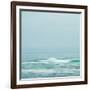 Seacoast 601-David E Rowell-Framed Art Print