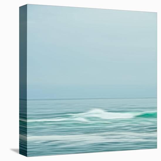 Seacoast 601-David E Rowell-Stretched Canvas