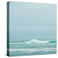 Seacoast 601-David E Rowell-Stretched Canvas