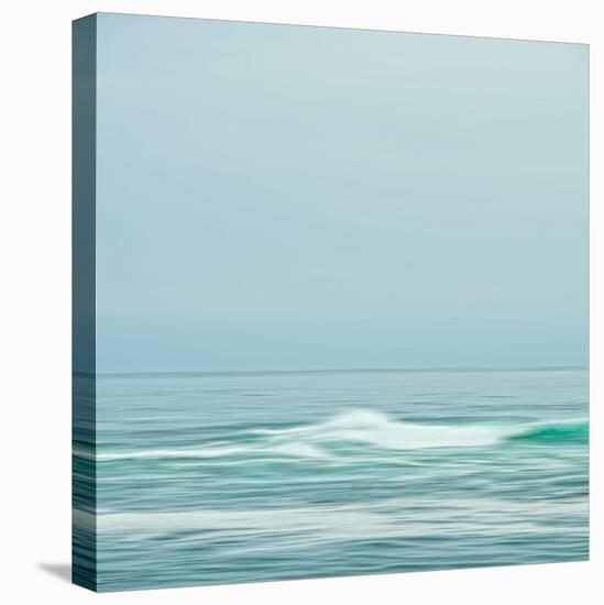 Seacoast 601-David E Rowell-Stretched Canvas