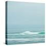 Seacoast 601-David E Rowell-Stretched Canvas