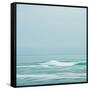 Seacoast 601-David E Rowell-Framed Stretched Canvas