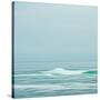 Seacoast 601-David E Rowell-Stretched Canvas