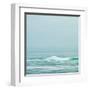 Seacoast 601-David E Rowell-Framed Art Print