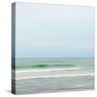 Seacoast 92-David E Rowell-Stretched Canvas