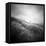 Seacolony-Craig Roberts-Framed Stretched Canvas