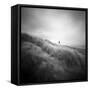 Seacolony-Craig Roberts-Framed Stretched Canvas