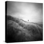 Seacolony-Craig Roberts-Stretched Canvas