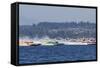 SEAFAIR, Vintage Hydroplane Races, Lake Washington, Seattle, Washington, USA-Jamie & Judy Wild-Framed Stretched Canvas