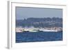 SEAFAIR, Vintage Hydroplane Races, Lake Washington, Seattle, Washington, USA-Jamie & Judy Wild-Framed Photographic Print