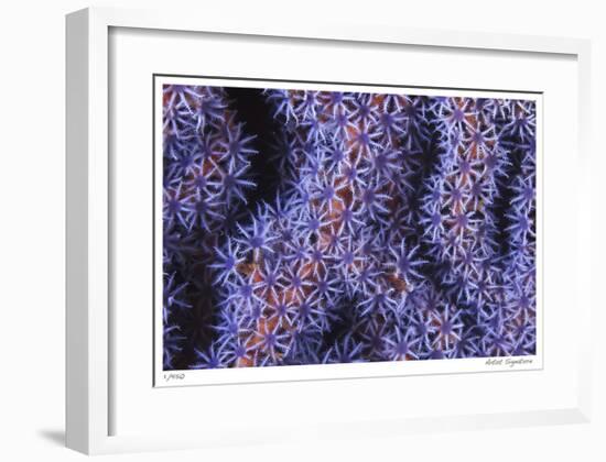 Seafan-Jones-Shimlock-Framed Giclee Print