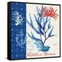 Seafaring Botanical-Devon Ross-Framed Stretched Canvas