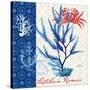 Seafaring Botanical-Devon Ross-Stretched Canvas