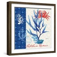 Seafaring Botanical-Devon Ross-Framed Art Print