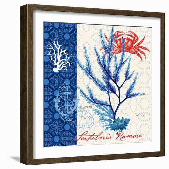 Seafaring Botanical-Devon Ross-Framed Art Print