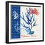 Seafaring Botanical-Devon Ross-Framed Art Print