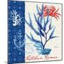 Seafaring Botanical-Devon Ross-Mounted Art Print