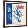 Seafaring Botanical-Devon Ross-Framed Art Print