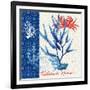 Seafaring Botanical-Devon Ross-Framed Art Print