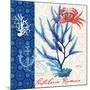 Seafaring Botanical-Devon Ross-Mounted Art Print