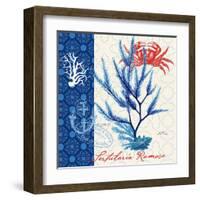 Seafaring Botanical-Devon Ross-Framed Art Print