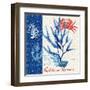 Seafaring Botanical-Devon Ross-Framed Art Print