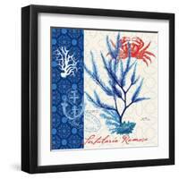 Seafaring Botanical-Devon Ross-Framed Art Print