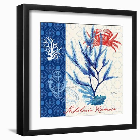 Seafaring Botanical-Devon Ross-Framed Art Print