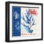 Seafaring Botanical-Devon Ross-Framed Art Print