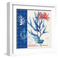 Seafaring Botanical-Devon Ross-Framed Art Print