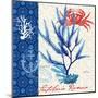 Seafaring Botanical-Devon Ross-Mounted Art Print