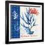 Seafaring Botanical-Devon Ross-Framed Art Print