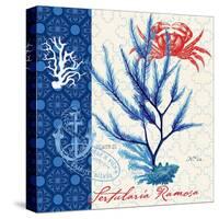 Seafaring Botanical-Devon Ross-Stretched Canvas