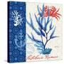 Seafaring Botanical-Devon Ross-Stretched Canvas