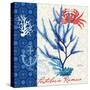 Seafaring Botanical-Devon Ross-Stretched Canvas