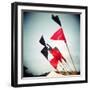 Seaflock-Craig Roberts-Framed Photographic Print