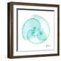 Seafoam Argonaut-Albert Koetsier-Framed Art Print