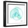 Seafoam Argonaut-Albert Koetsier-Framed Art Print