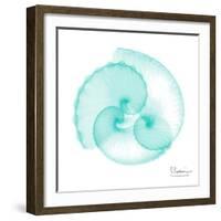 Seafoam Argonaut-Albert Koetsier-Framed Art Print