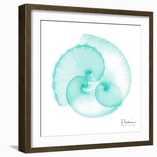 Seafoam Argonaut-Albert Koetsier-Framed Art Print