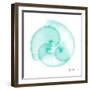 Seafoam Argonaut-Albert Koetsier-Framed Art Print