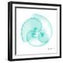 Seafoam Argonaut-Albert Koetsier-Framed Art Print