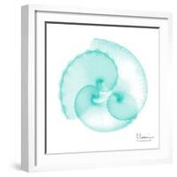 Seafoam Argonaut-Albert Koetsier-Framed Art Print