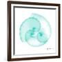 Seafoam Argonaut-Albert Koetsier-Framed Art Print