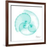 Seafoam Argonaut-Albert Koetsier-Framed Art Print