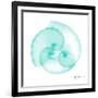 Seafoam Argonaut-Albert Koetsier-Framed Art Print