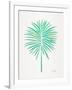 Seafoam Fan Palm-Cat Coquillette-Framed Art Print