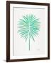 Seafoam Fan Palm-Cat Coquillette-Framed Art Print