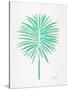 Seafoam Fan Palm-Cat Coquillette-Stretched Canvas